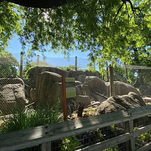 Jun. 2021 - Plains - Guinea Baboon Exhibit