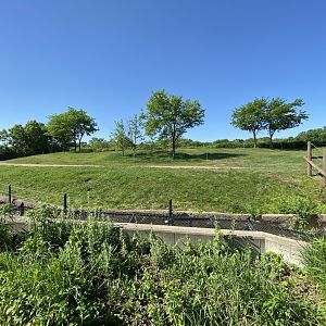 Jun. 2021 - Plains - African Elephant Exhibit (1.30 Acres)