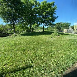 Jun. 2021 - Plains - Cheetah Exhibit #1
