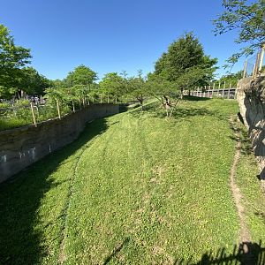 Jun. 2021 - Plains - Cheetah Exhibit #1