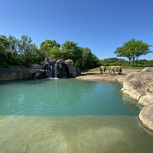 Jun. 2021 - Plains - African Elephant Exhibit (1.30 Acres)