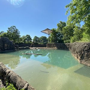 Jun. 2021 - Plains - African Elephant Exhibit