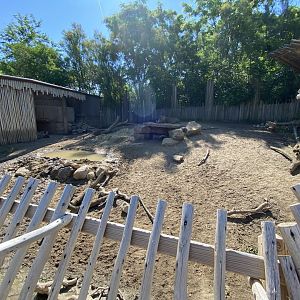 Jun. 2021 - Plains - Outdoor Warthog/Cape Porcupine Exhibit