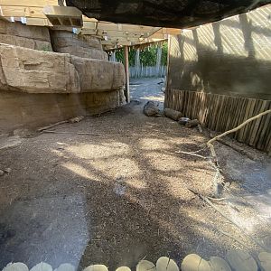 Jun. 2021 - Plains - Indoor Warthog/Cape Porcupine Exhibit