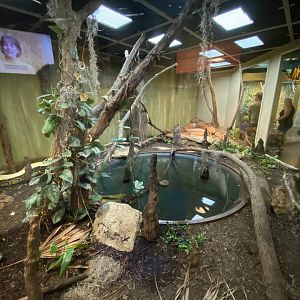 Jun. 2021 - Deserts (Extreme Snakes) - Burmese Python Exhibit