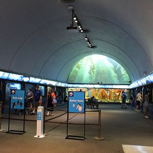 Oceans Gallery