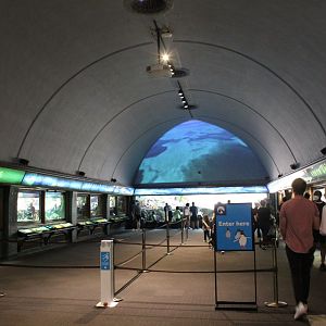 Islands & Lakes Gallery