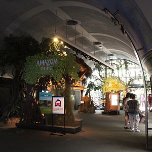 Amazon Rising - Entrance