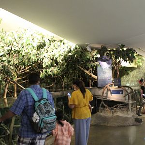 Wild Reef - Mangrove Tank