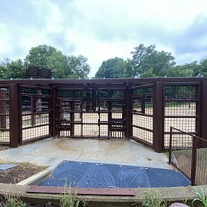 Zoo’s new training wall