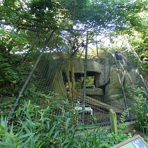 Jun. 2021 - Night Hunters - Bobcat Exhibit (Still In Use...)