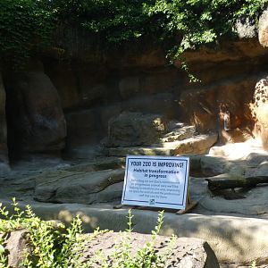 Jun. 2021 - Bear Hill - Empty Black Bear Exhibit