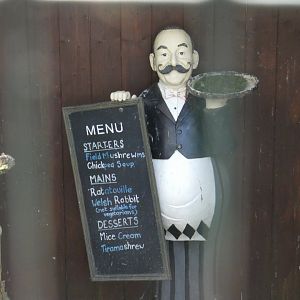 Decoration in aviary