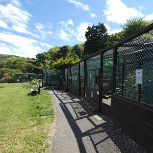 View across owl aviaries