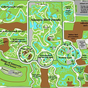 Realms of the Amazon - The Realms of the Hoatzin and the Macaw