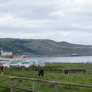 View of Llandudno