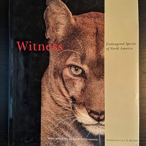 Witness Endangered Species of North America