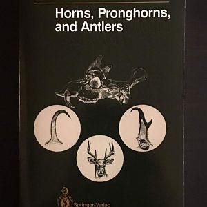 Horns, Pronghorns, and Antlers  Evolution, Morphology, Physiology, and Social Significance
