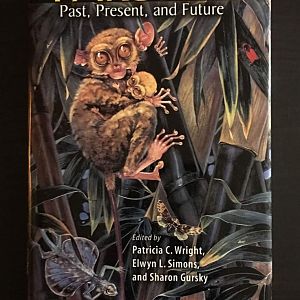 Tarsiers Past, Present, and Future