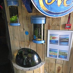 Fish and Frog exhibits