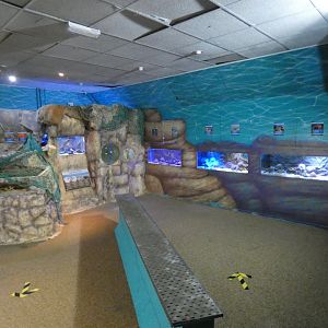 Education and touch pool area