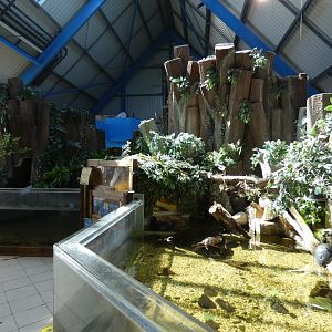 Turtle/Terrapin enclosure