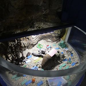 Plastic waste exhibit