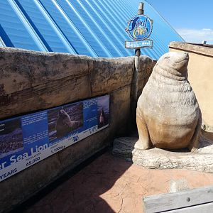 Steller's sea lion statue
