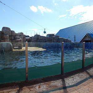 Cape fur seal enclosure