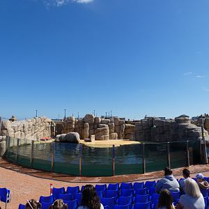 View of Fur seal enclosure from stands