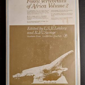 Fossil Vertebrates of Africa Volume 2