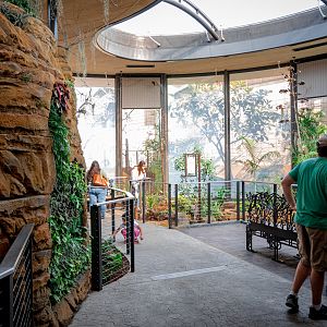 Hummingbird Habitat entrance/first exhibit