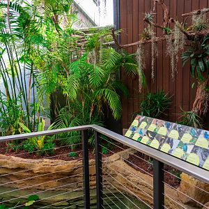 Hummingbird Habitat first exhibit