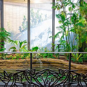 Hummingbird Habitat first exhibit