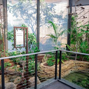 Hummingbird Habitat first exhibit