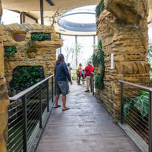 Hummingbird Habitat walkway