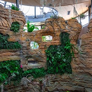 Hummingbird Habitat middle exhibit