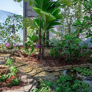 Hummingbird Habitat last exhibit
