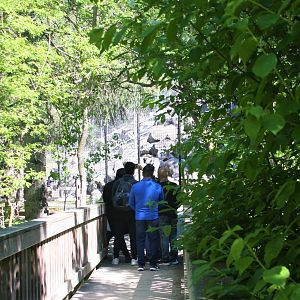 Guests taking a birthday selfie.