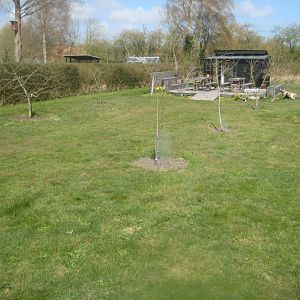 Æblehaven - General view