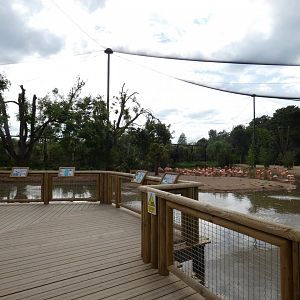 Latin American Wetlands aviary viewing area