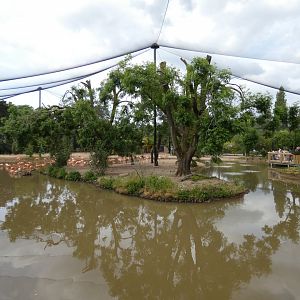 Latin American Wetlands aviary