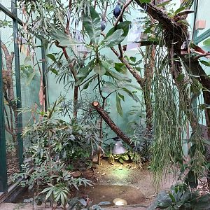 Rhino house - Madagascar aviary