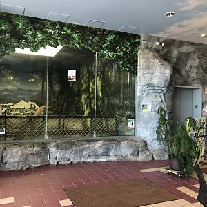 Zoo Central- indoor black-crested mangabey exhibit.