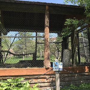 Barnyard- turkey vulture cage