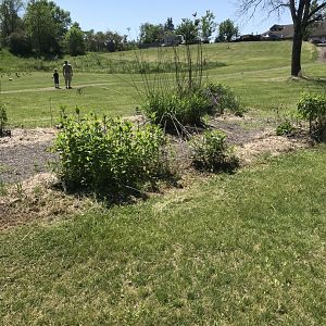 Former butterfly garden