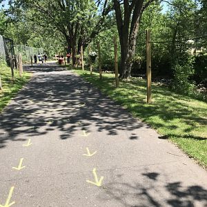 “Nature walk” along the former deer paddocks