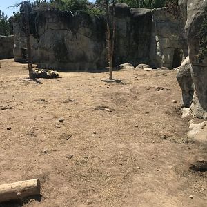 Bear Country-  New Alaskan brown bear exhibit (formerly  polar shores)