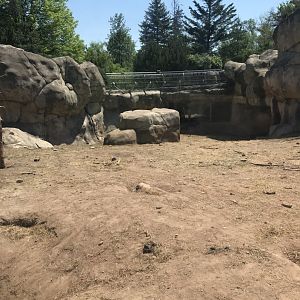 Bear Country- New Alaskan brown bear exhibit (formerly polar shores)