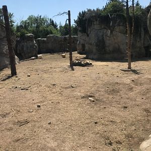 Bear Country- New Alaskan brown bear exhibit (formerly polar shores)